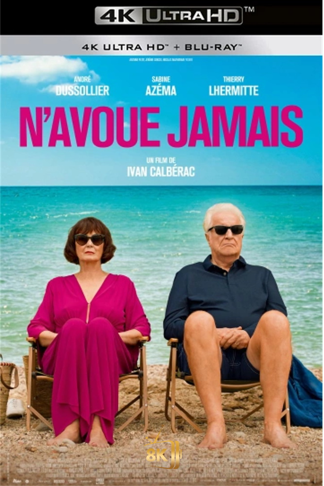 4K-FR - N'avoue jamais (2024)