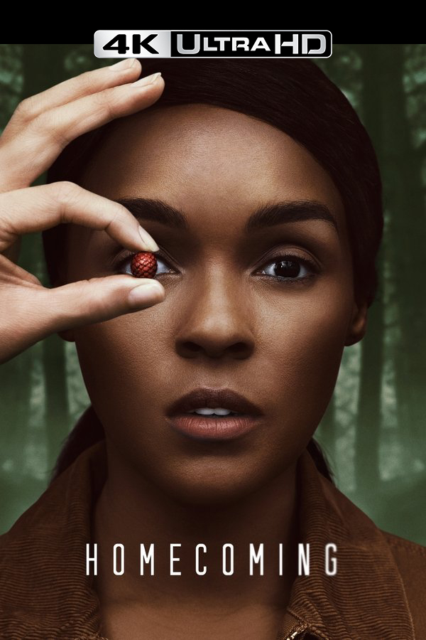 4K-DE - Homecoming (2018) (US)